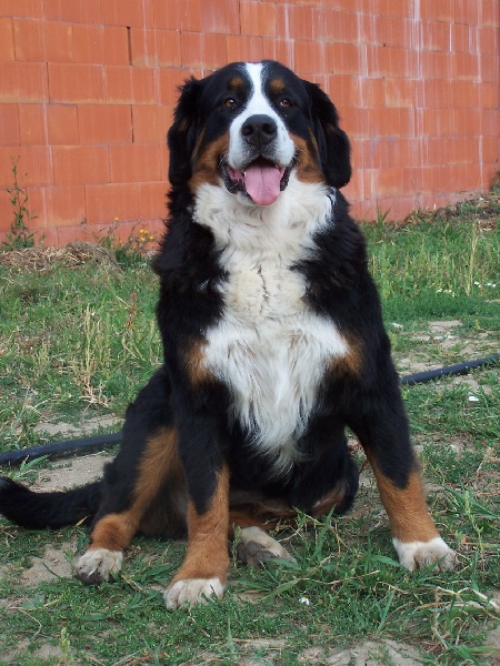 Publication : du Clos de Favras