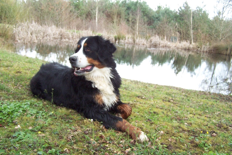 Publication : du Clos de Favras