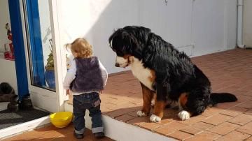 Publication : du Clos de Favras