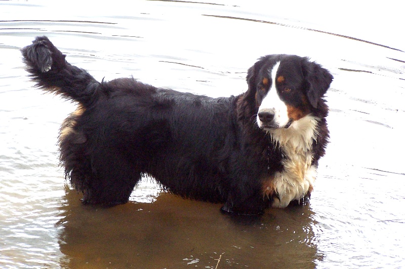 Publication : du Clos de Favras