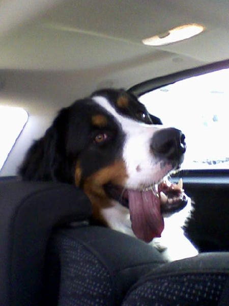 Publication : du Clos de Favras