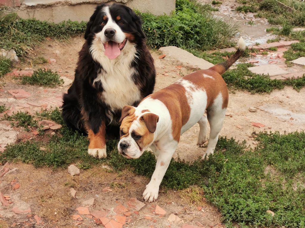 Publication : du Clos de Favras Auteur : Isabelle MILHEM