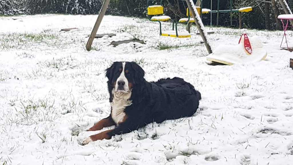 Publication : du Clos de Favras