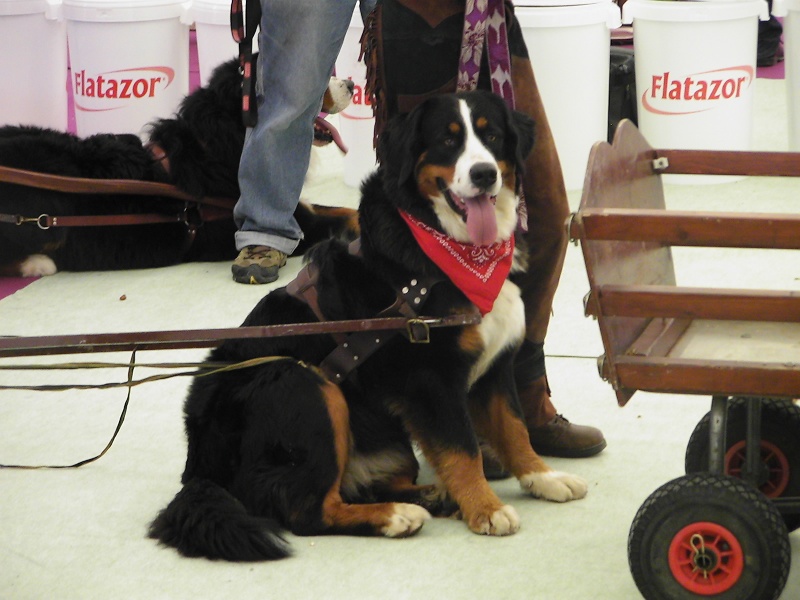 Publication : du Clos de Favras