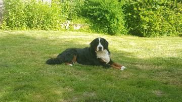 Publication : du Clos de Favras