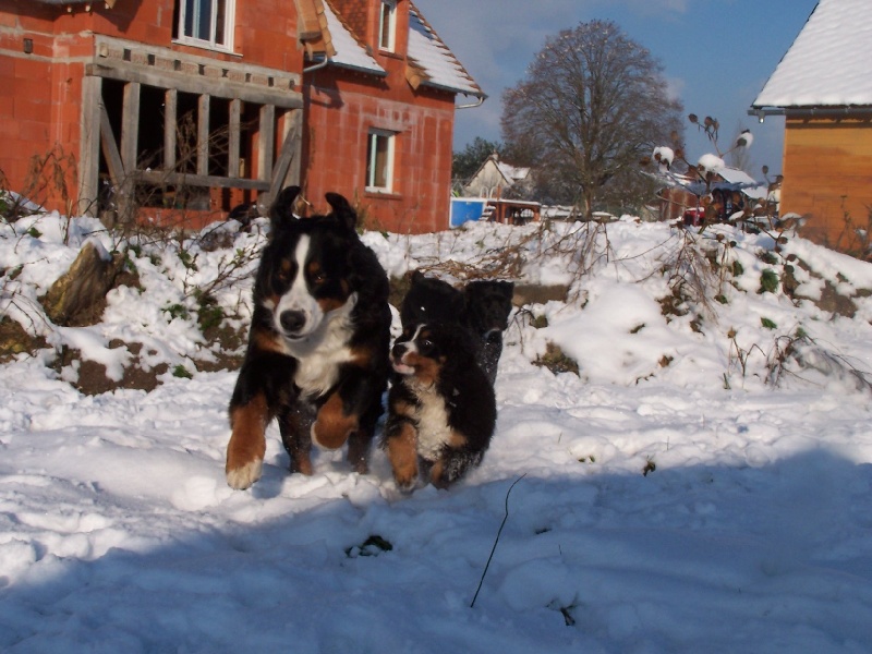 Publication : du Clos de Favras