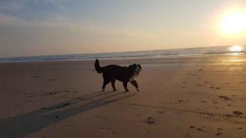 Publication : du Clos de Favras