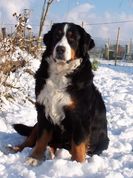 Publication : du Clos de Favras