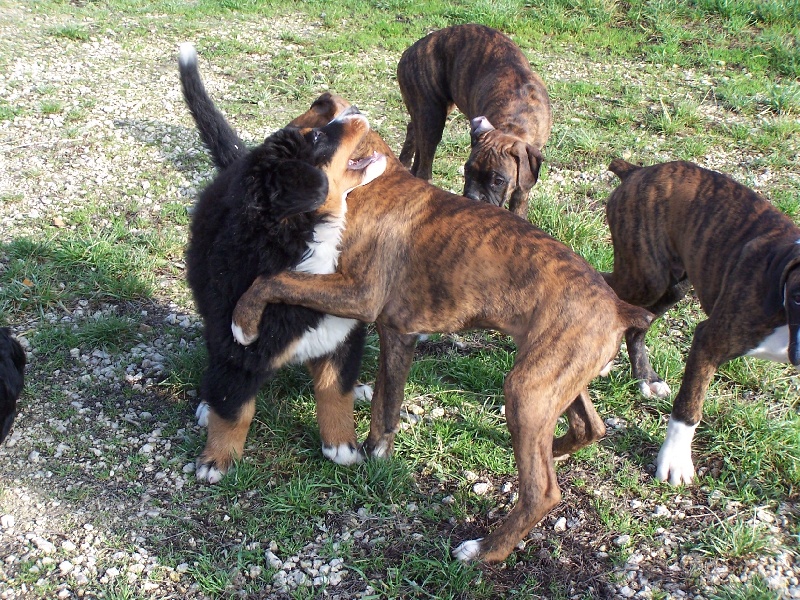 Publication : du Clos de Favras