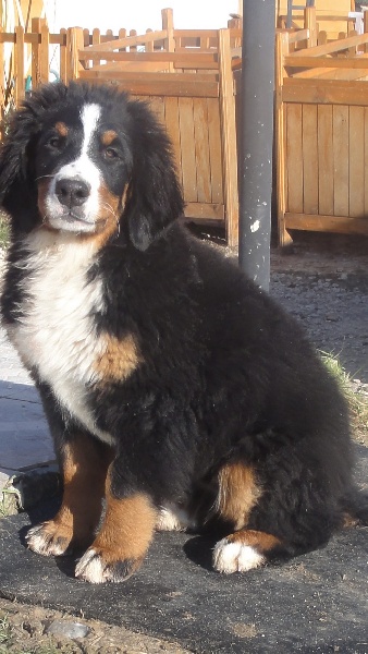 Publication : du Clos de Favras