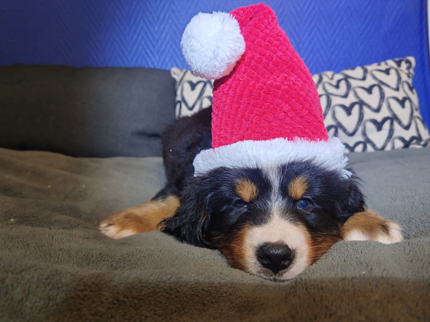 Aline (Mle Vert Clair)