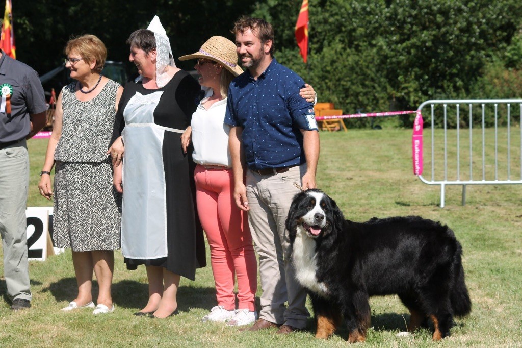 Accueil L Arche Des Akylas Elevage De Bouvier Bernois En Sarthe 72