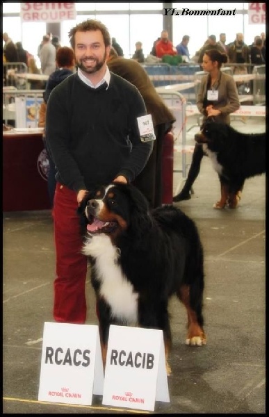 CH. Goliath akylas De la chalerie - 1er EXCELLENT RCACS RCACIB