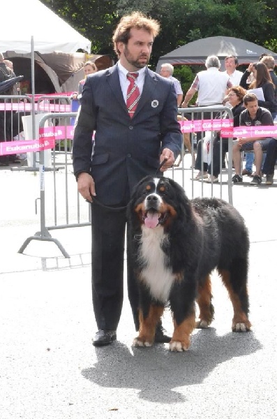 CH. Goliath akylas De la chalerie - 4ème Excellent