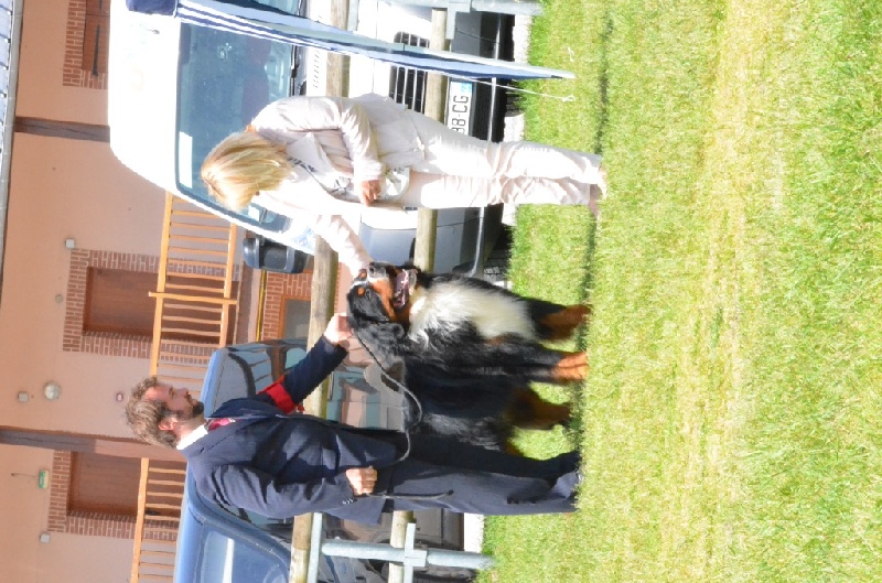 CH. Goliath akylas De la chalerie - 7ème Excellent