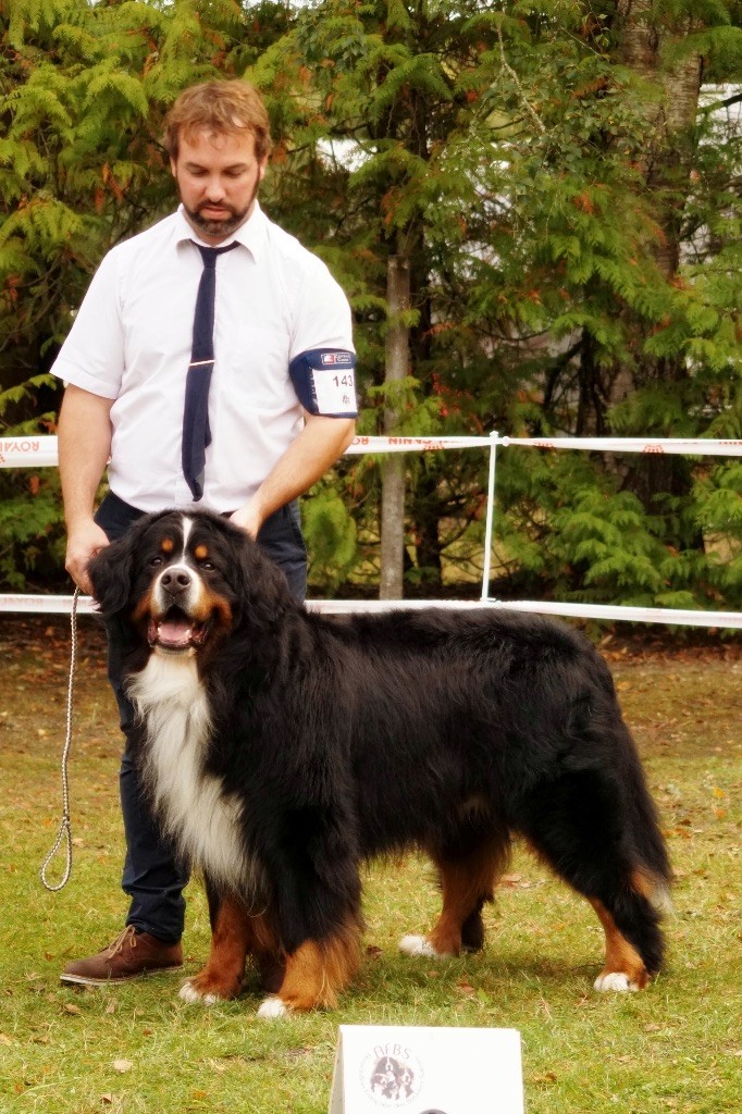 CH. Goliath akylas De la chalerie - 3ème EXC classe champion