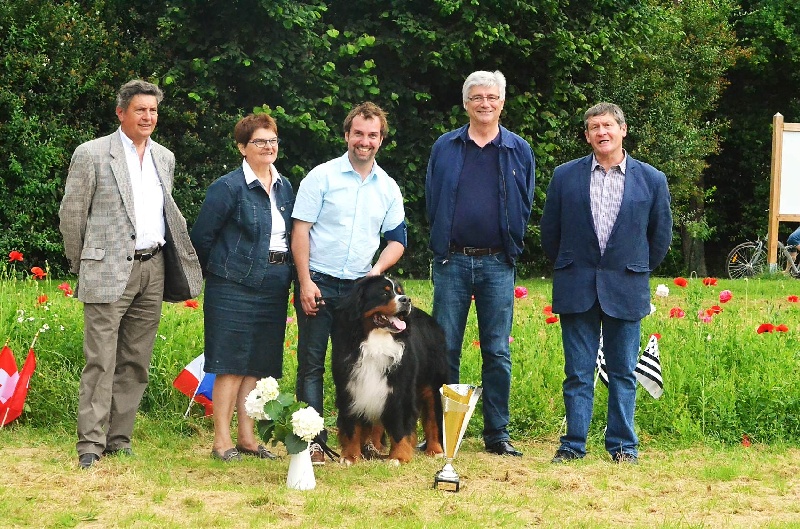 CH. Goliath akylas De la chalerie - 1er EXC en classe Champion / Meilleur male / Meilleur de Race / BIS