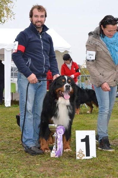 CH. Goliath akylas De la chalerie - 1ER EXCELLENT