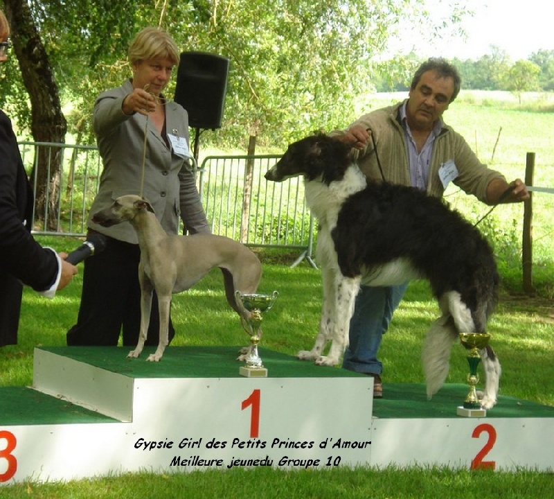 Gypsie girl Des Petits Princes D'amour - 1ere jeune du groupe 10