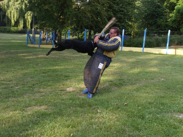 Publication : Du Domaine Du Loup Fidèle Auteur : Aurélie Dziudzia