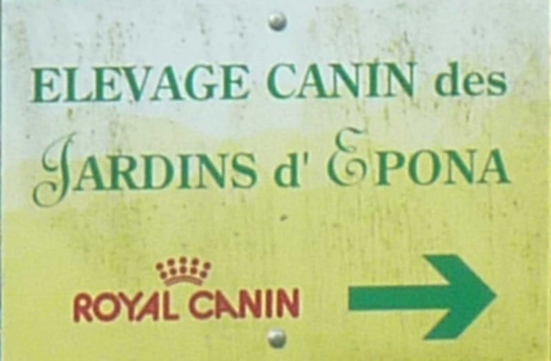 Publication : Des Glycines Enchantées