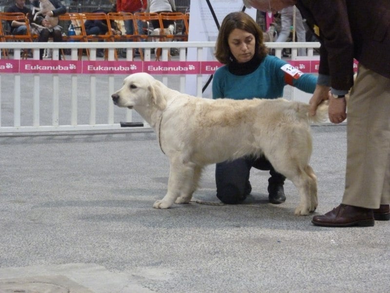 Gaia da vila nova des jardins d'Epona - excellent en classe ouverte