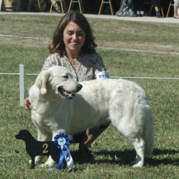 Gaia da vila nova des jardins d'Epona - 2° très bon en classe intermédiaire