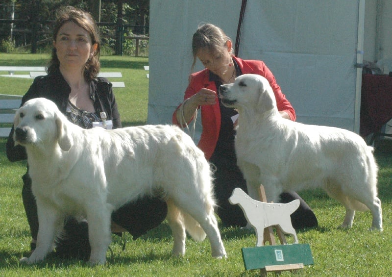 Gaia da vila nova des jardins d'Epona - 2ème EXCELLENT classe Intermédiaire Femelle