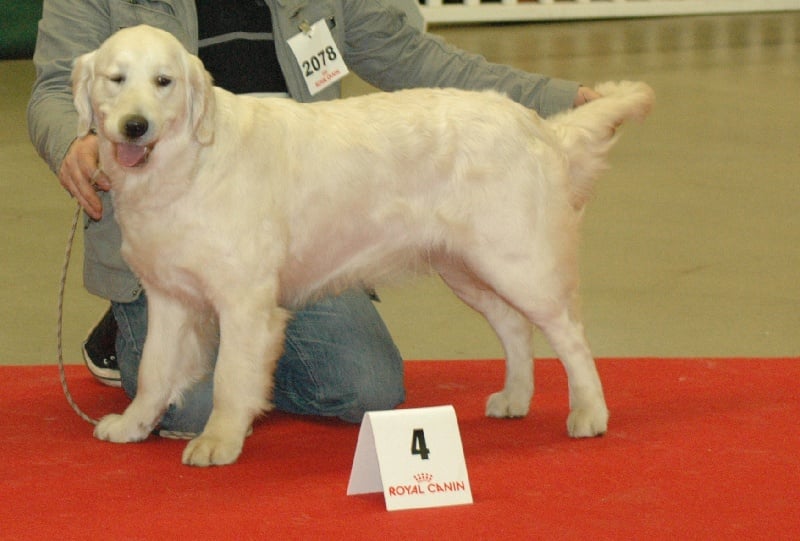 Gaia da vila nova des jardins d'Epona - 4ème Excellent classe Jeune