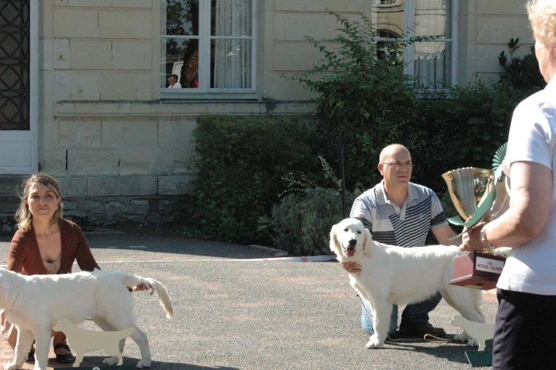 Gaia da vila nova des jardins d'Epona - 3ème très prometteur classe PUPPY FEMELLE