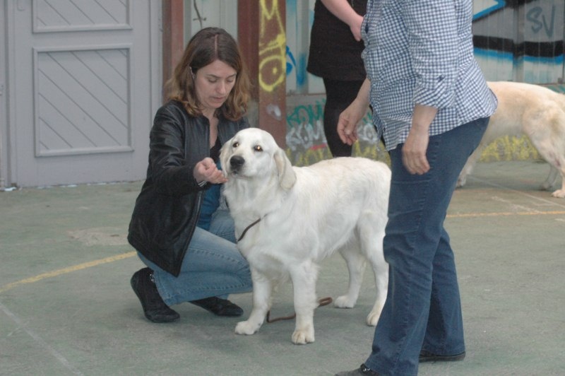 Gaia da vila nova des jardins d'Epona - Excellent classe jeune