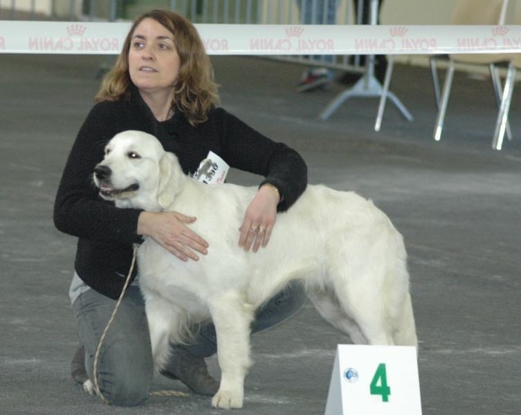 Gaia da vila nova des jardins d'Epona - 4ème Excellent classe Jeune