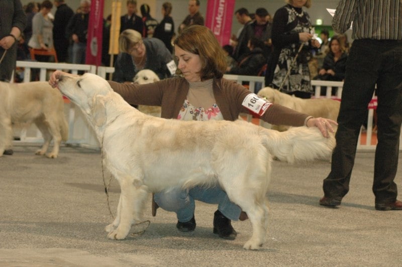 Gaia da vila nova des jardins d'Epona - Très bon en classe ouverte