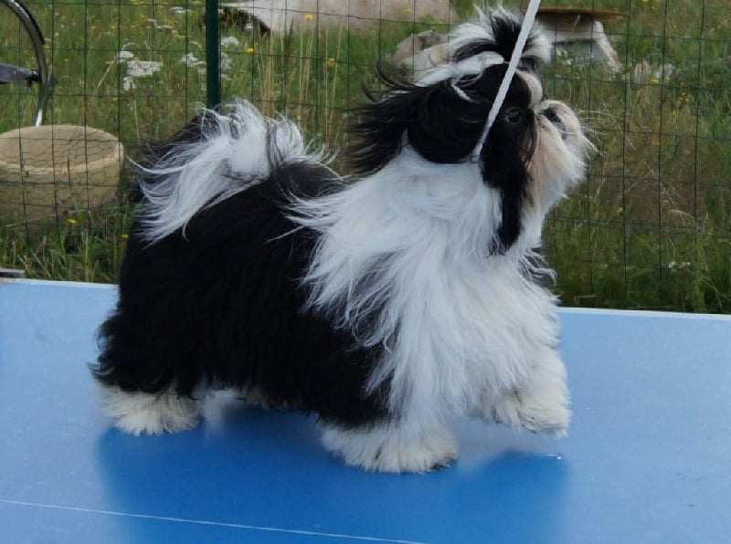 Ji'lyn Land Of Pandora