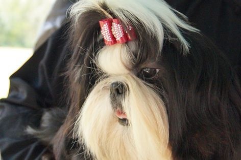 Ji'lyn Land Of Pandora