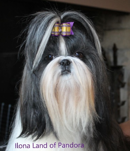 Ilona dite isée-miss Land Of Pandora