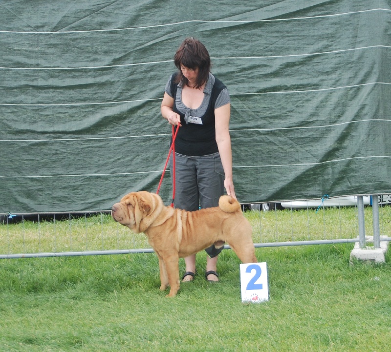 Guerlain du Ferraillon - 2 eme excellent