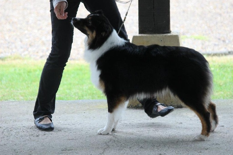 Gone baby gone du chemin des korrigans - 2ème Exc RCACC-J