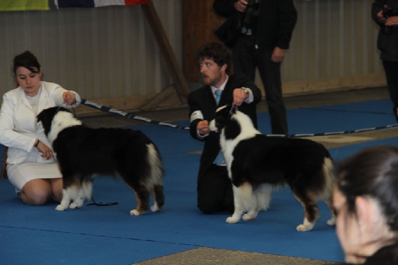 Gone baby gone du chemin des korrigans - Excellent sélectionnée