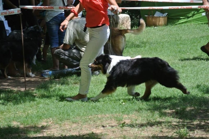 Gone baby gone du chemin des korrigans - 1ère Exc CACS