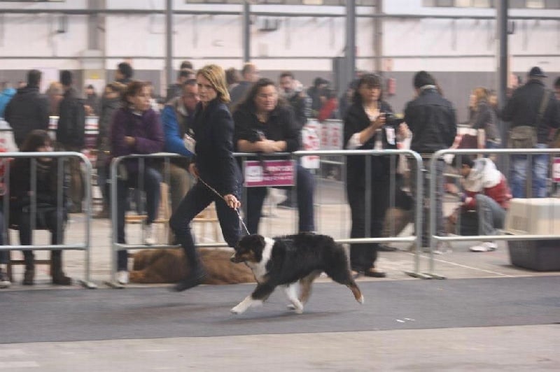 Gone baby gone du chemin des korrigans - 2ème Exc classe Intermédiaire