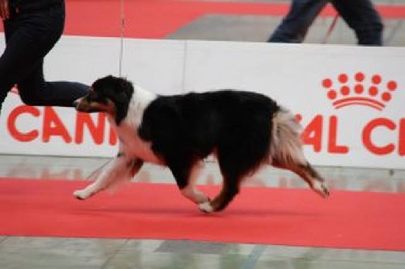 Gone baby gone du chemin des korrigans - 3ème Exc en classe Inter Femelles