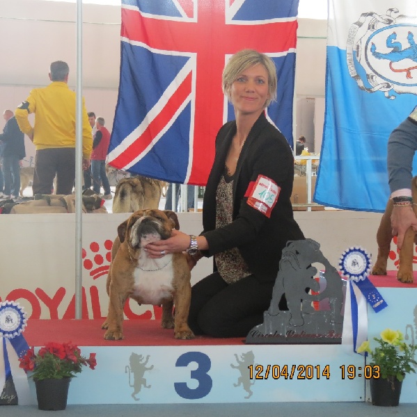 CH. Jaydee4ever Havaïanas sweet - 3ème exc. - classe intermédiaire