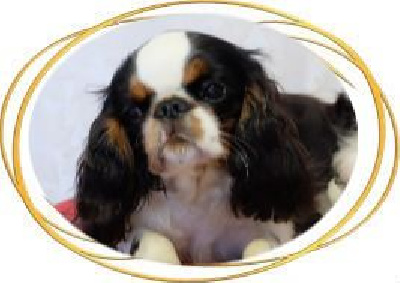 Des Rochers D'agerna