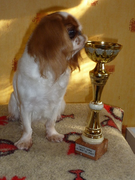 Fleur de lune De la montagne ensoleillee - 1er excellent en classe ouverte, RCACS