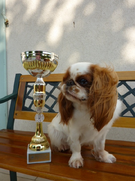 Fleur de lune De la montagne ensoleillee - RCACS