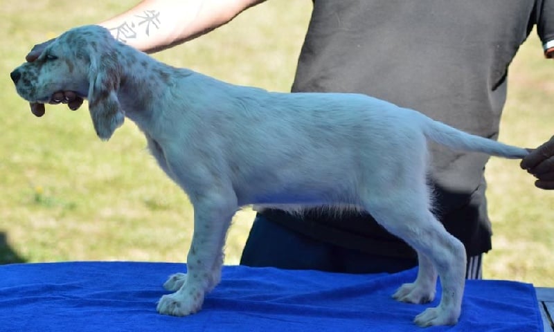 Publication : Des Bords De La Trézence