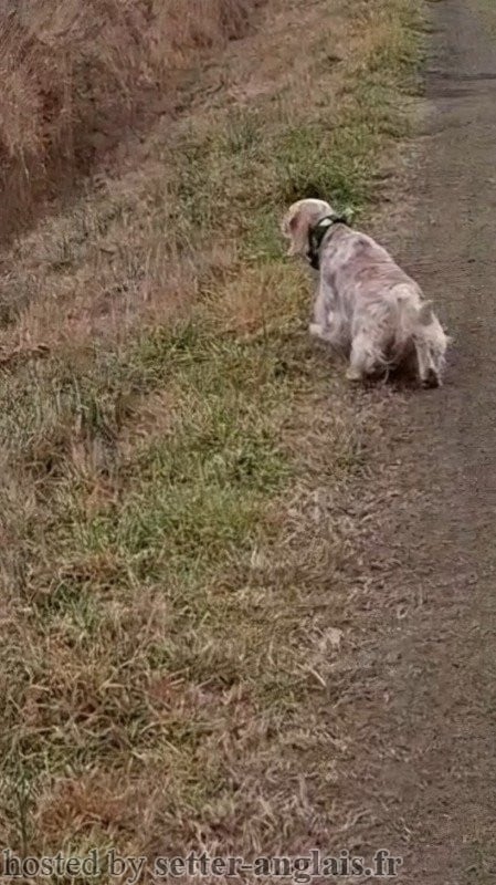 Publication : Des Bords De La Trézence