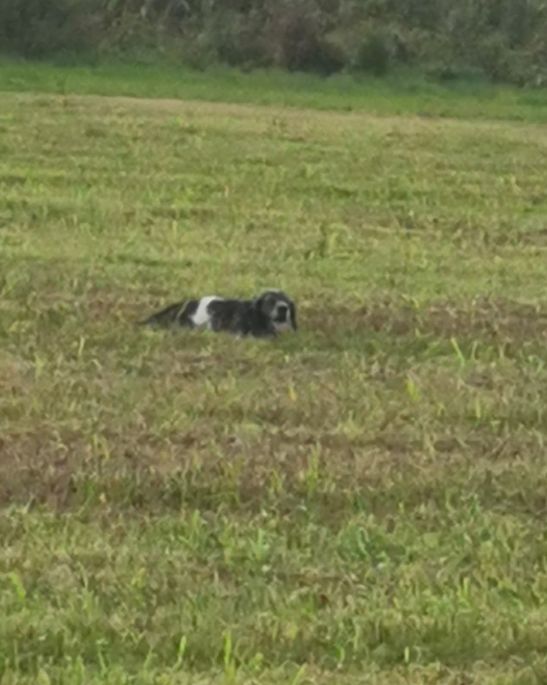 Publication : Des Bords De La Trézence