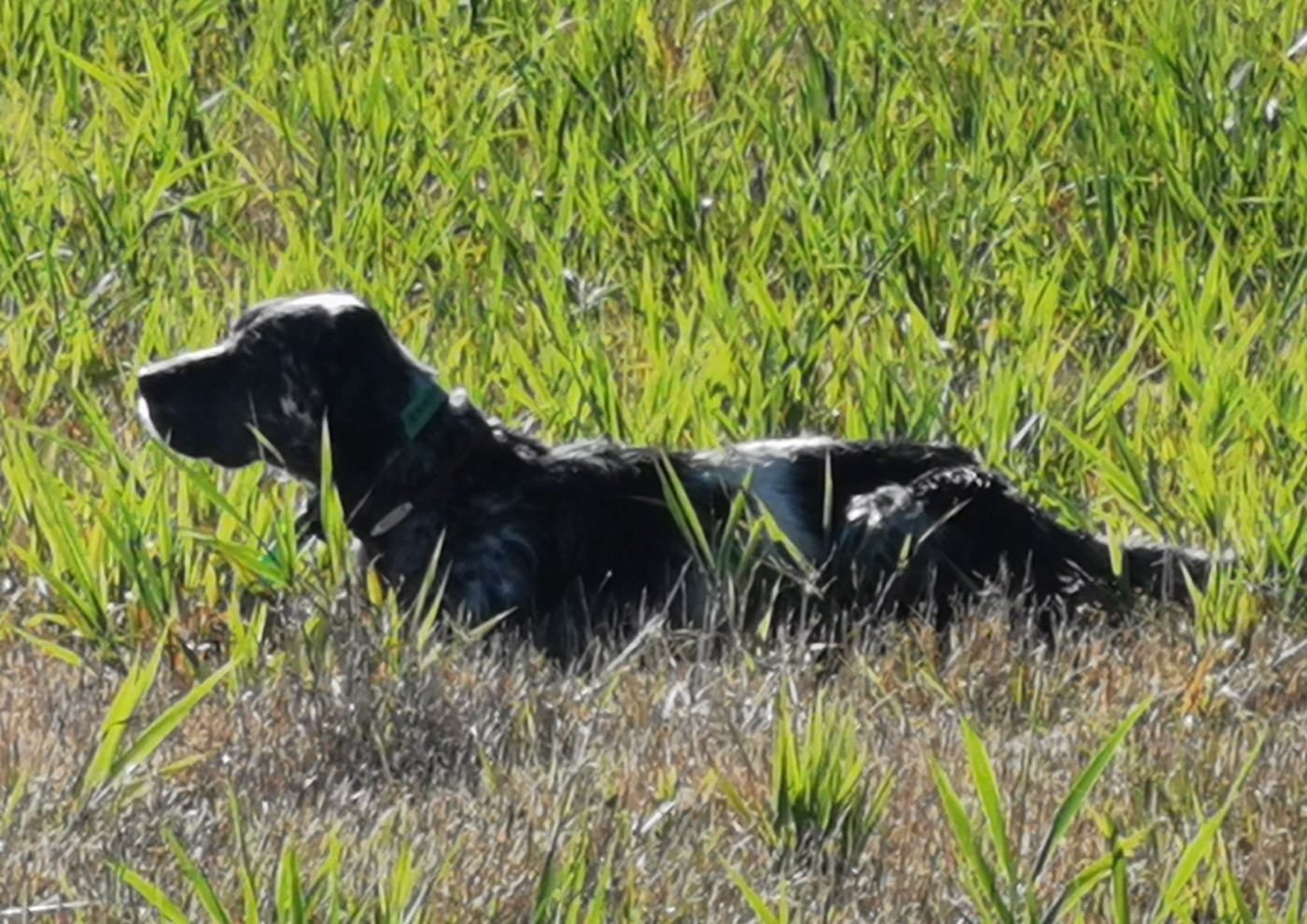 Publication : Des Bords De La Trézence
